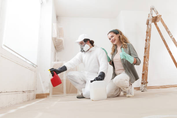 Best Real Estate Mold Inspection  in Noank, CT